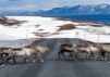 Objectif Grand Nord